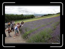IMG_3048 * 850 x 608 * (239KB)