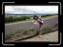 IMG_3054 * 850 x 608 * (247KB)