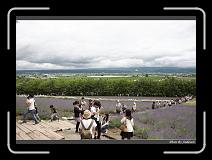 IMG_3058 * 850 x 608 * (240KB)