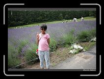 IMG_3065 * 850 x 608 * (243KB)