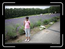 IMG_3066 * 850 x 608 * (240KB)