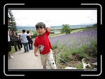 IMG_3067 * 850 x 608 * (231KB)