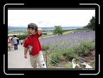 IMG_3069 * 850 x 608 * (244KB)