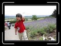 IMG_3070 * 850 x 608 * (245KB)