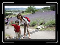 IMG_3071 * 850 x 608 * (246KB)