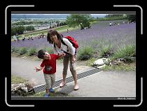 IMG_3073 * 850 x 608 * (244KB)