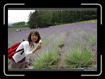 IMG_3074 * 850 x 608 * (243KB)