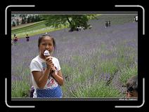IMG_3079 * 850 x 608 * (238KB)