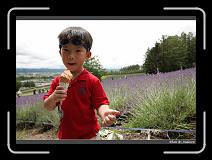IMG_3081 * 850 x 608 * (238KB)