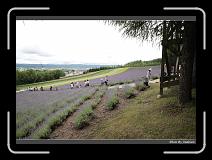 IMG_3086 * 850 x 608 * (242KB)