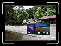 IMG_3091 * 850 x 608 * (242KB)