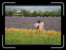 IMG_3101 * 850 x 608 * (246KB)