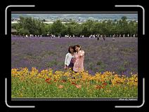 IMG_3104 * 850 x 608 * (249KB)
