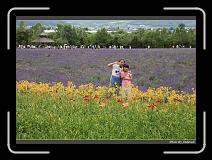 IMG_3105 * 850 x 608 * (247KB)