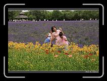 IMG_3114 * 850 x 608 * (250KB)