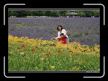 IMG_3119 * 850 x 608 * (245KB)