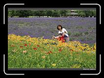 IMG_3122 * 850 x 608 * (249KB)