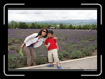 IMG_3124 * 850 x 608 * (238KB)