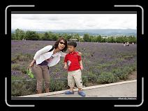 IMG_3125 * 850 x 608 * (240KB)
