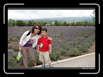 IMG_3127 * 850 x 608 * (248KB)