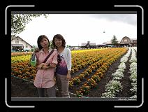 IMG_3137 * 850 x 608 * (250KB)