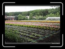 IMG_3144 * 850 x 608 * (249KB)