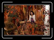 IMG_3157 * 850 x 608 * (248KB)