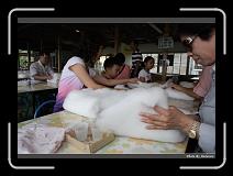 IMG_3168 * 900 x 644 * (298KB)