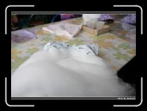 IMG_3169 * 900 x 644 * (280KB)