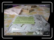 IMG_3170 * 900 x 644 * (283KB)