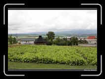 IMG_3174 * 900 x 644 * (289KB)