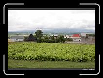 IMG_3175 * 900 x 644 * (297KB)
