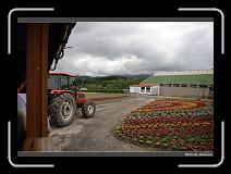 IMG_3177 * 900 x 644 * (285KB)