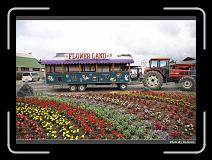 IMG_3178 * 900 x 644 * (292KB)