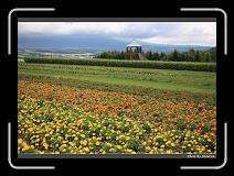 IMG_3179 * 900 x 644 * (298KB)