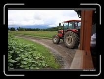 IMG_3181 * 900 x 644 * (273KB)