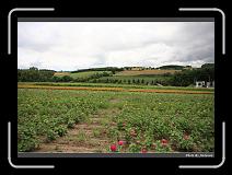 IMG_3182 * 900 x 644 * (296KB)