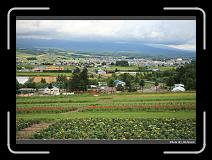 IMG_3184 * 900 x 644 * (288KB)
