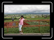 IMG_3190 * 900 x 644 * (285KB)
