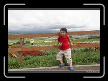 IMG_3192 * 900 x 644 * (276KB)