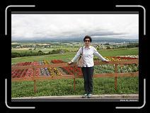 IMG_3206 * 900 x 644 * (292KB)