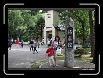 IMG_3216 * 900 x 644 * (299KB)