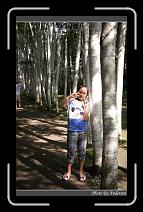 IMG_3225 * 600 x 966 * (289KB)
