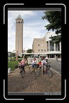 IMG_3239 * 600 x 966 * (280KB)