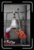 IMG_3257 * 600 x 966 * (277KB)