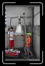 IMG_3259 * 600 x 966 * (293KB)