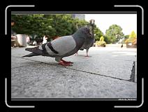 IMG_3318 * 900 x 644 * (287KB)