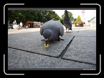 IMG_3319 * 900 x 644 * (273KB)