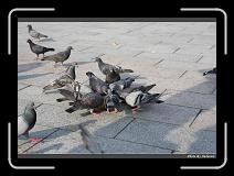 IMG_3330 * 900 x 644 * (287KB)