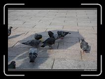 IMG_3343 * 900 x 644 * (281KB)